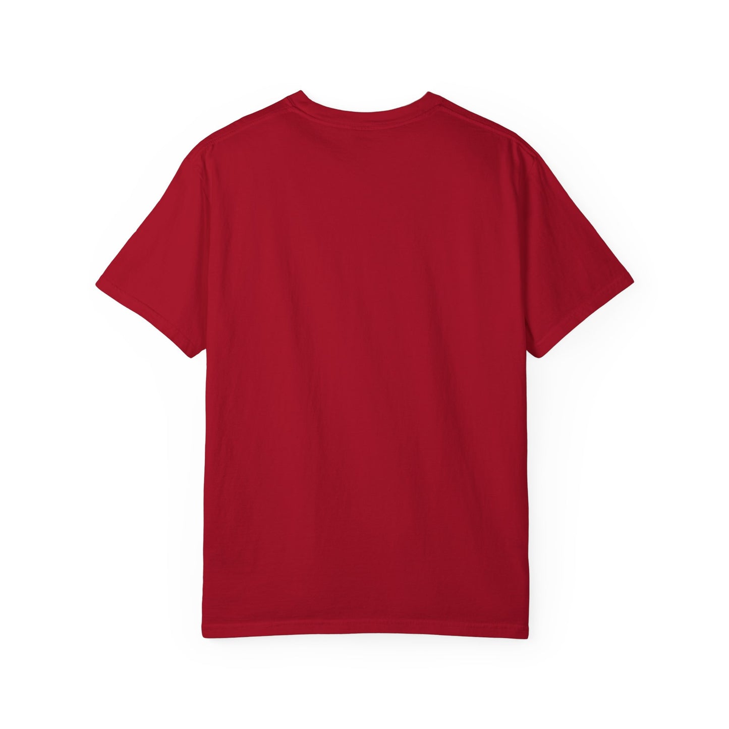 SIEMs T-Shirt